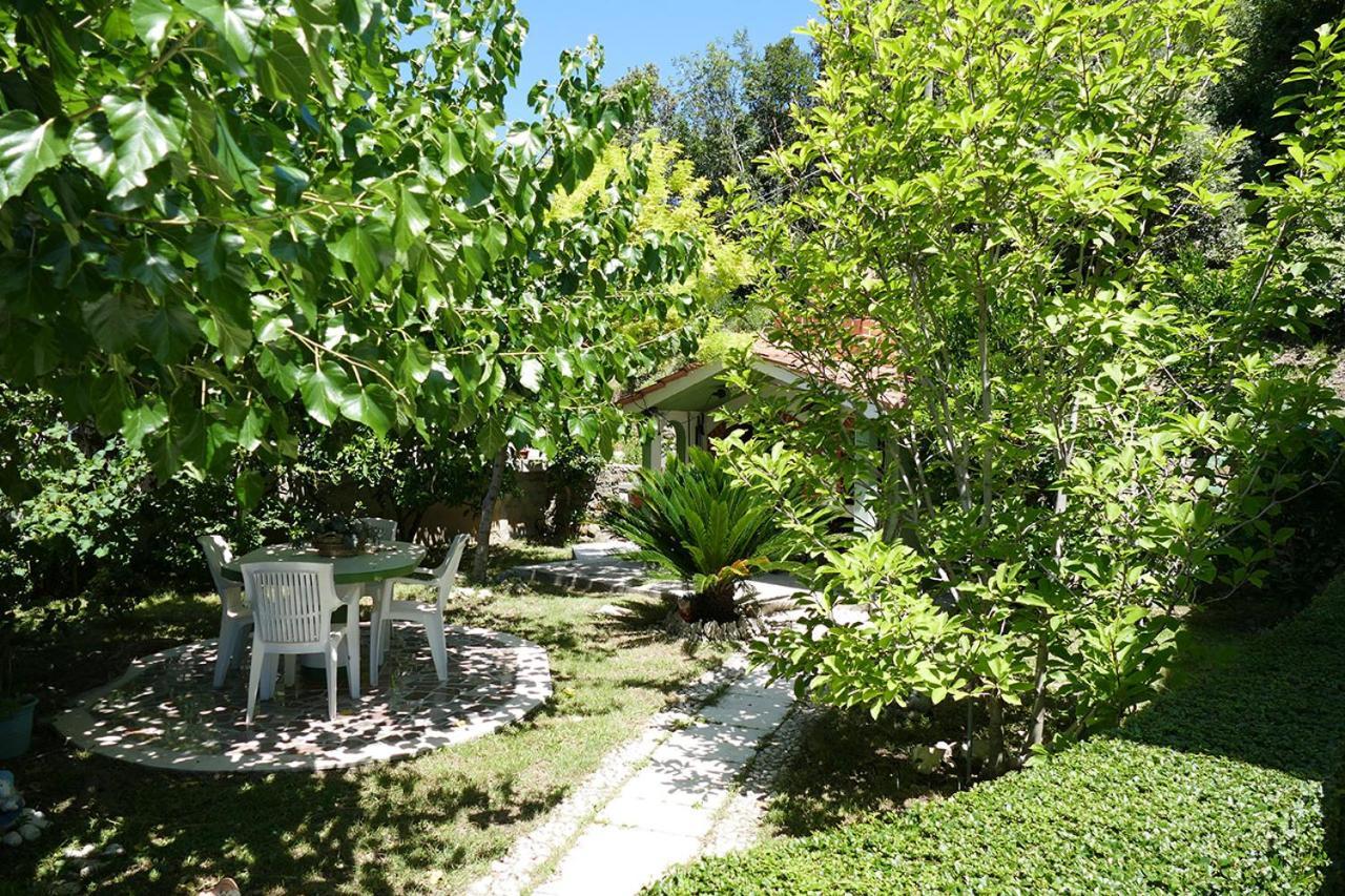 Apartments Davorka Kampor Bagian luar foto